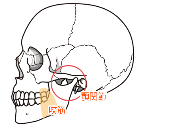 顎関節症とは