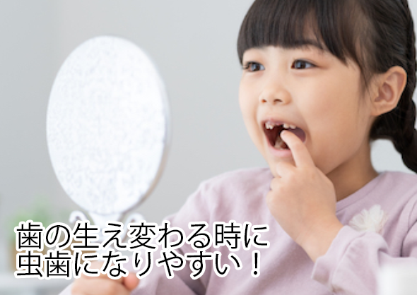 歯の生え変わる時に虫歯になりやすい！