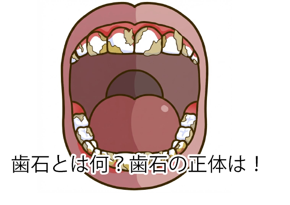 「オーラルフレイル」を防いで一生美味しく食べる。健康長寿の鍵はお口のケアにあり！